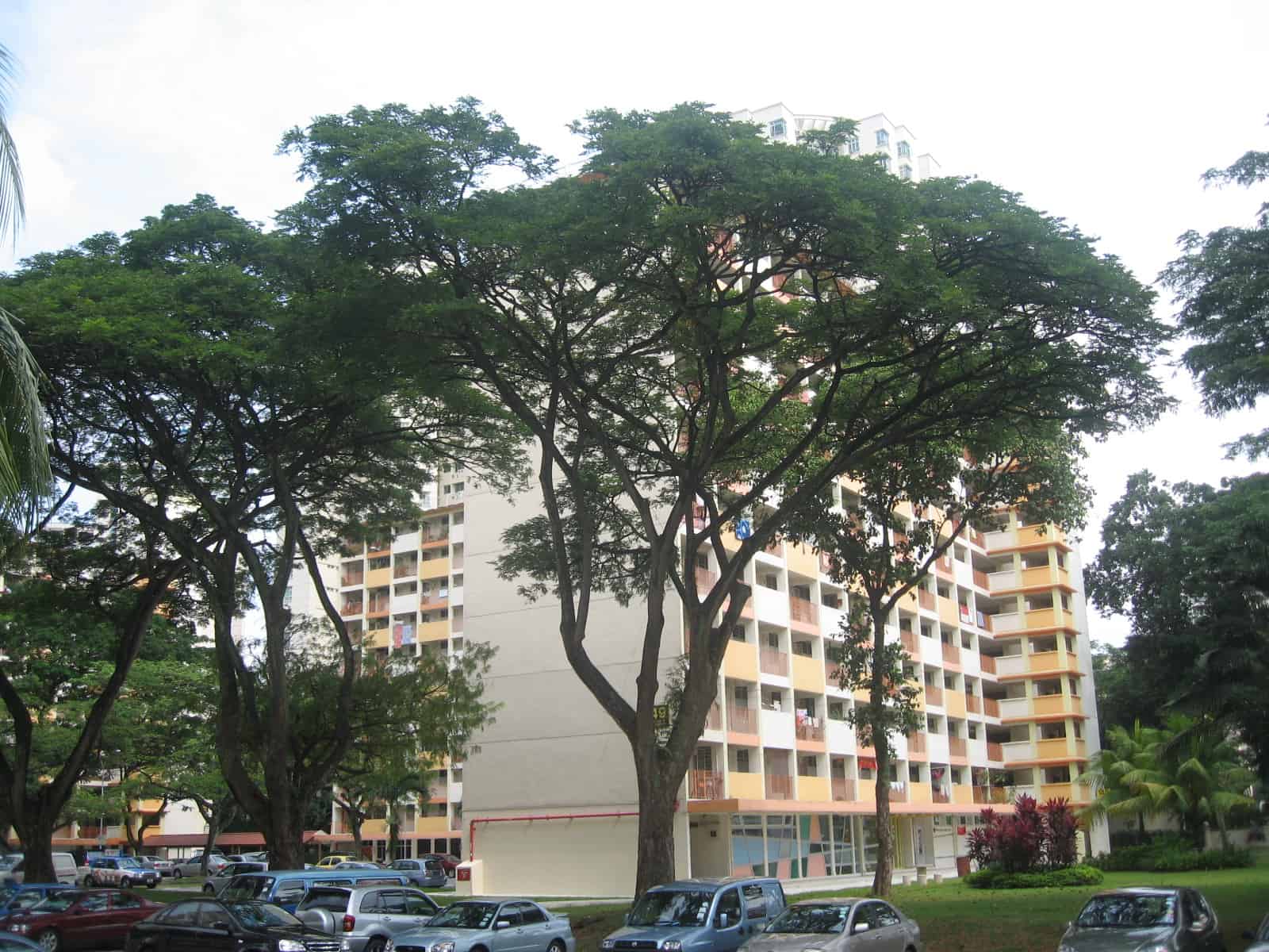 HDB apartment blocks in Toa Payoh